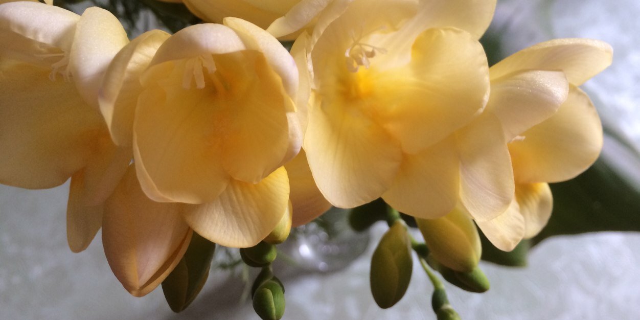 Barbara29181's profile banner image