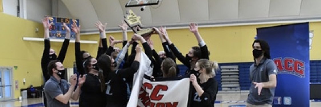 HFU Volleyball banner