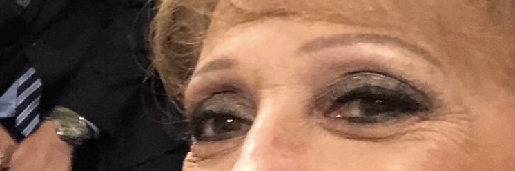 christinezlucas's profile banner image