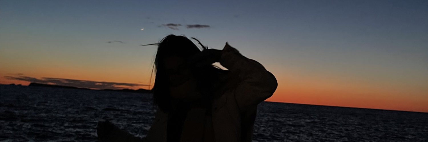 alynemsandoval's profile banner image