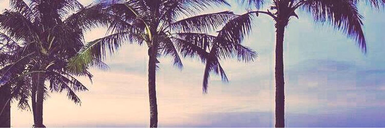 S banner