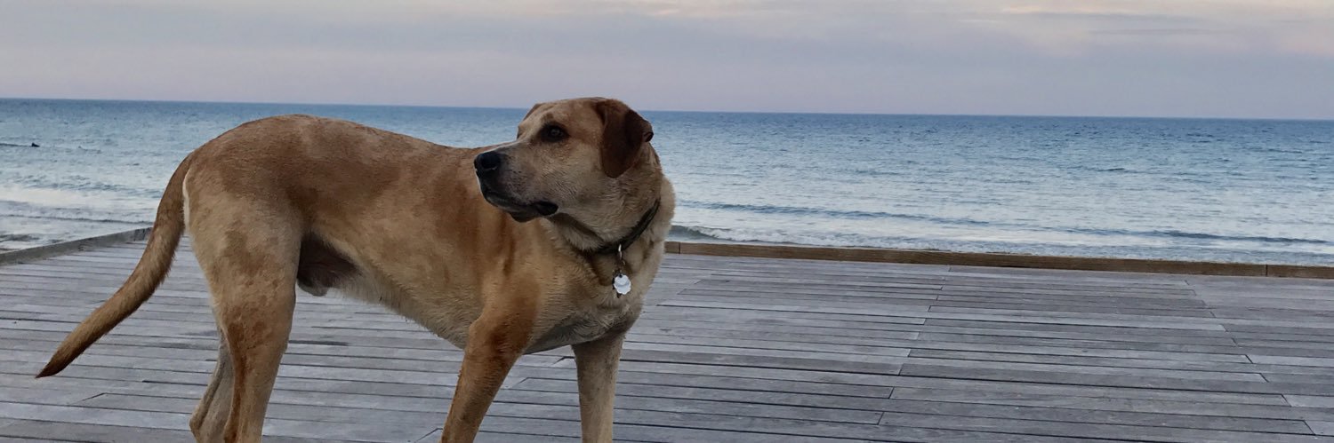 mbaldauff's profile banner image