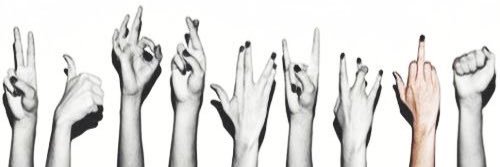 anna_maness's profile banner image