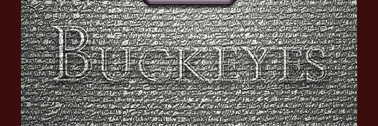 Buckeyes__Rule's profile banner image