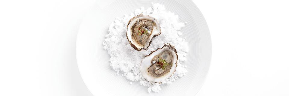 getFlavour's profile banner image