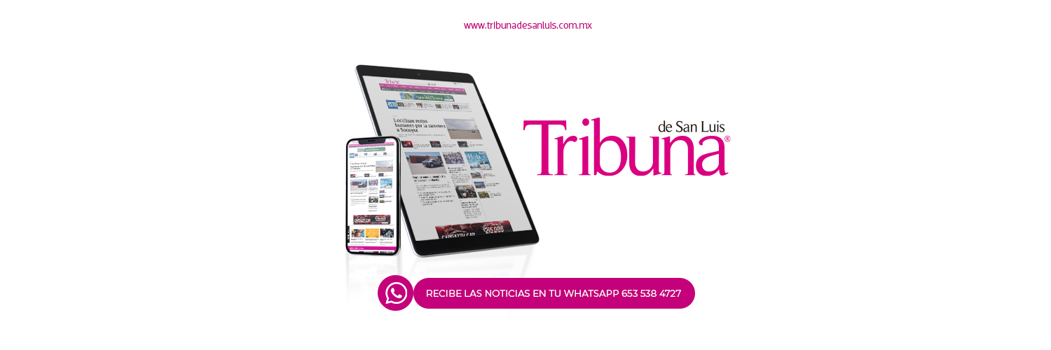 Tribuna de San Luis banner