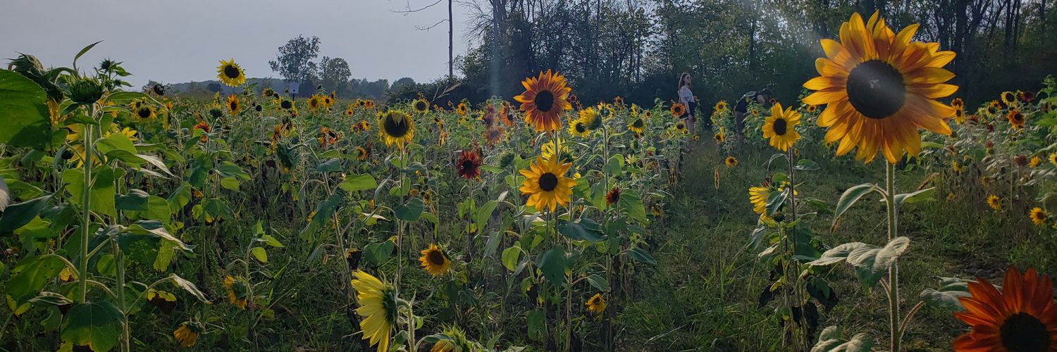 s_higgins123's profile banner image