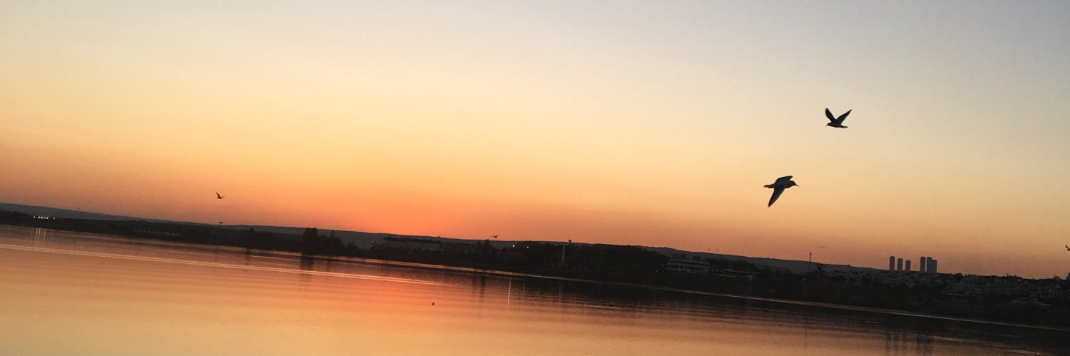ulkuu96's profile banner image