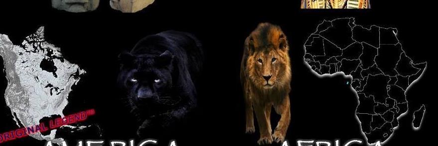 KnowledgeBornEl's profile banner image