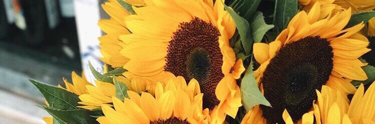 evans_shalea's profile banner image