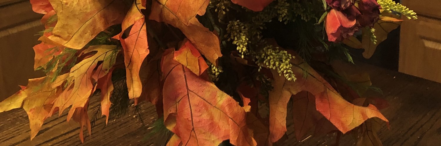 aleah63's profile banner image