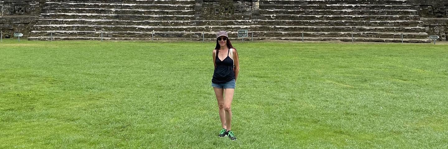 Schellers ✈️ banner