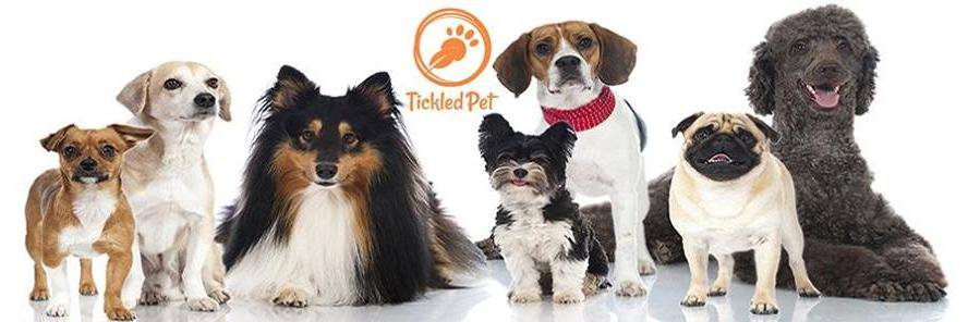 tickledpet's profile banner image