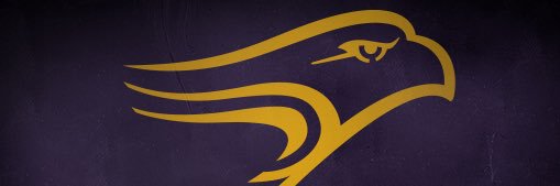 LSeges's profile banner image