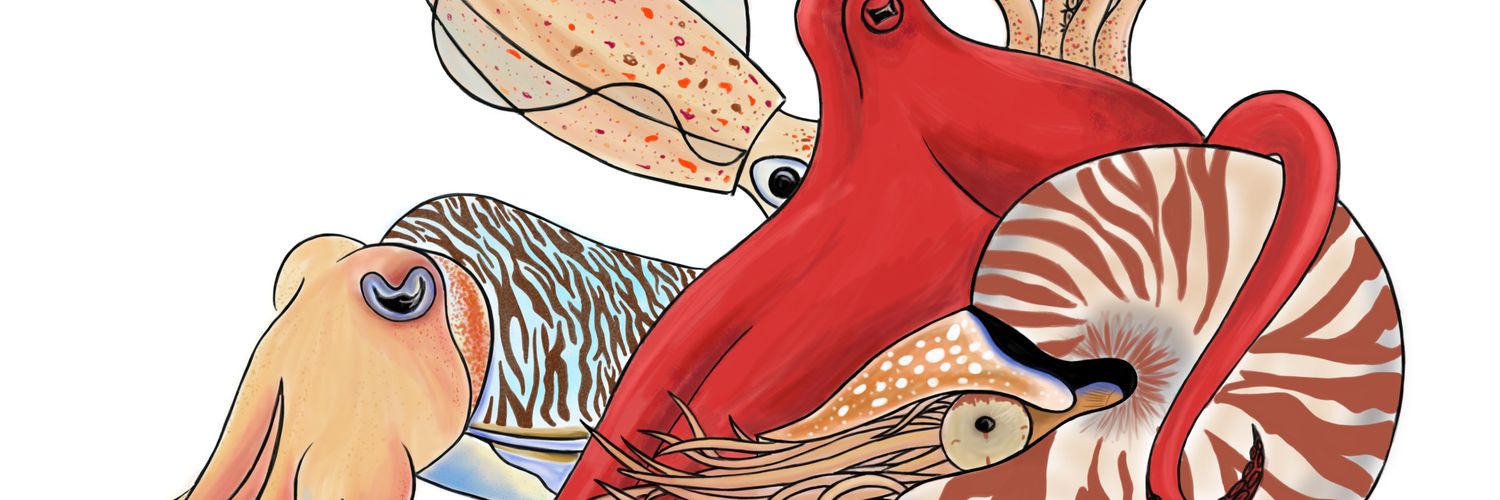 Bridget Vincent banner