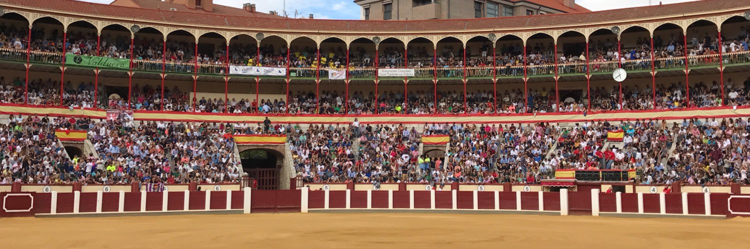 Elisa De la Iglesia banner