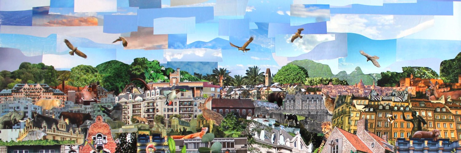 _ryanmaia's profile banner image