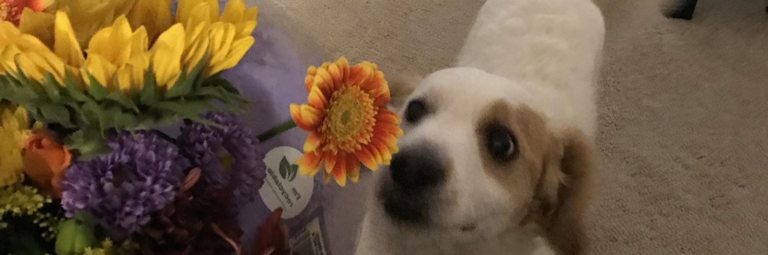 ayyemichelle's profile banner image