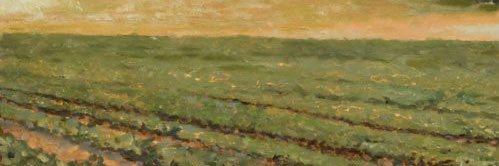 fdaniaya's profile banner image