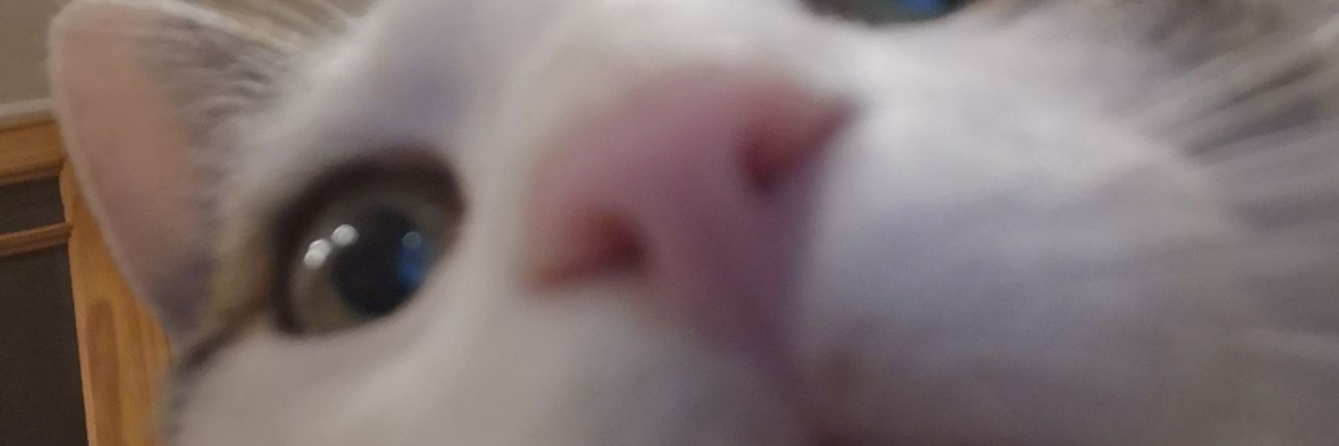 leahsickofthis's profile banner image