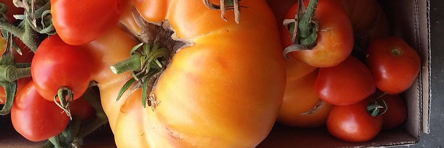 KPicnicbakery's profile banner image