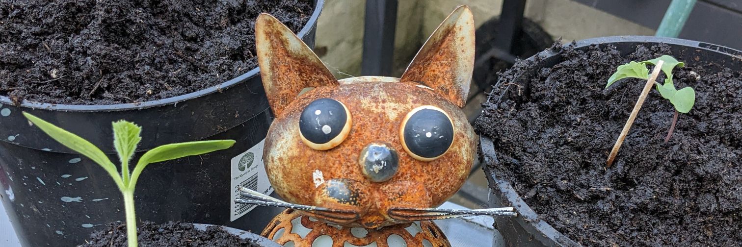 Craig Rathbone (Winst0lf) 🇺 (Writer📕/Podcaster!) banner