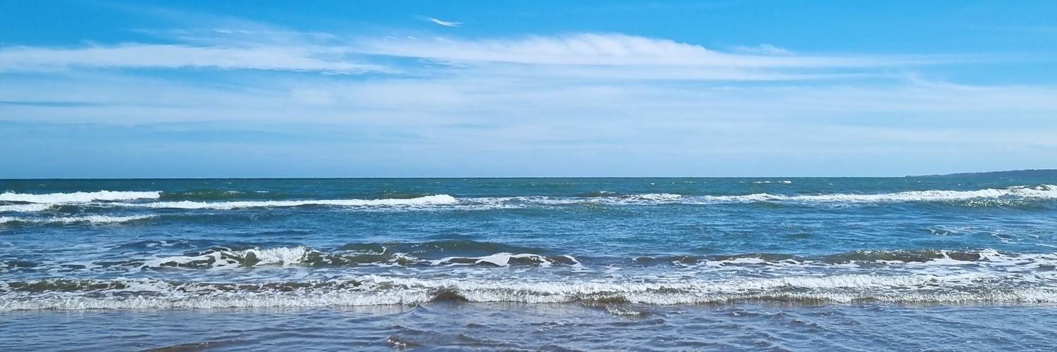 joagarnica_'s profile banner image