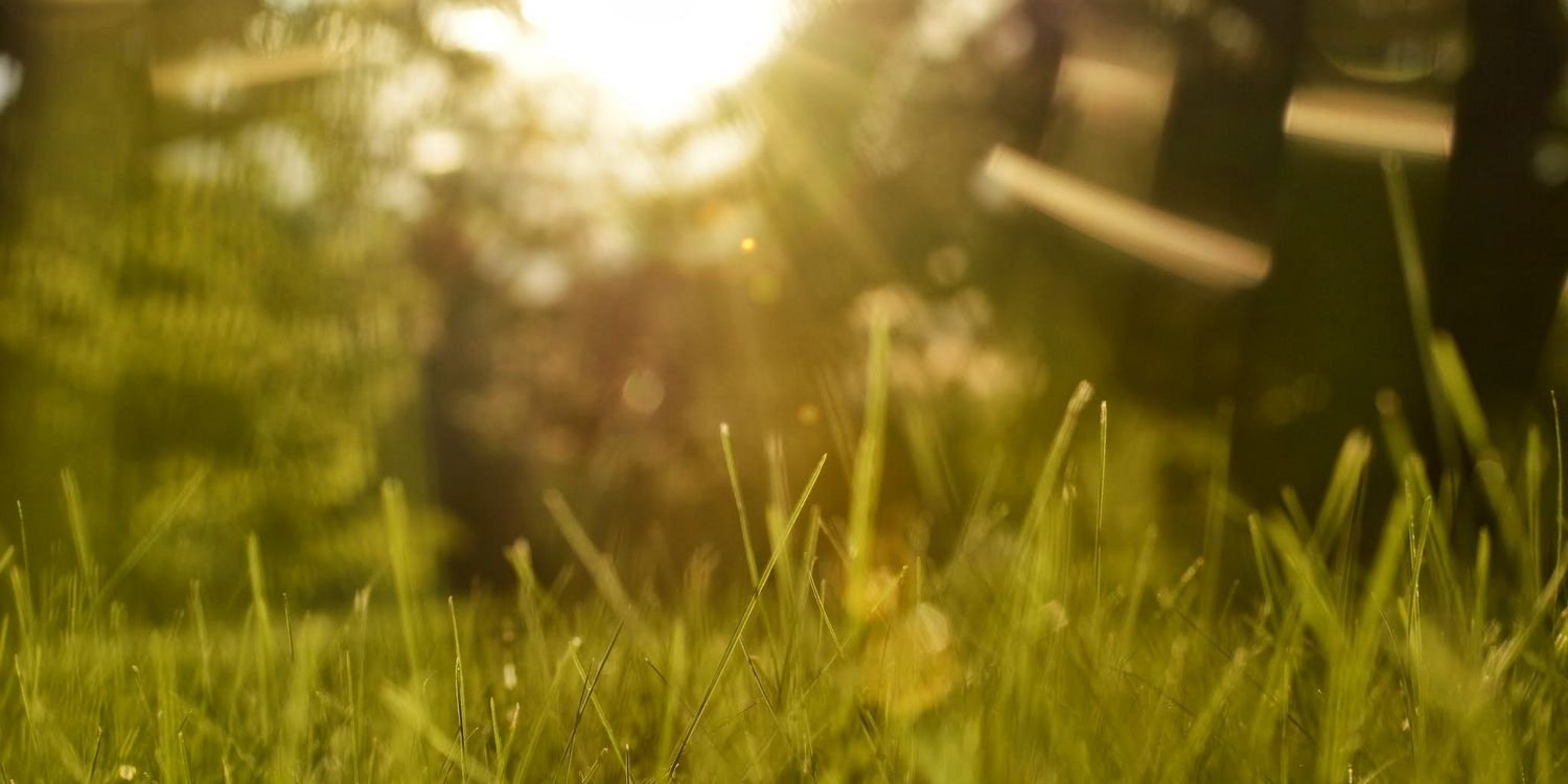 mormonhacker's profile banner image