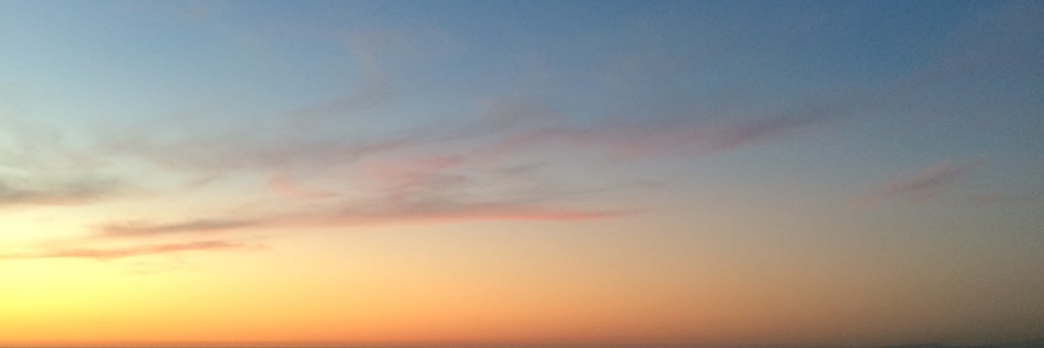 Chelsey banner