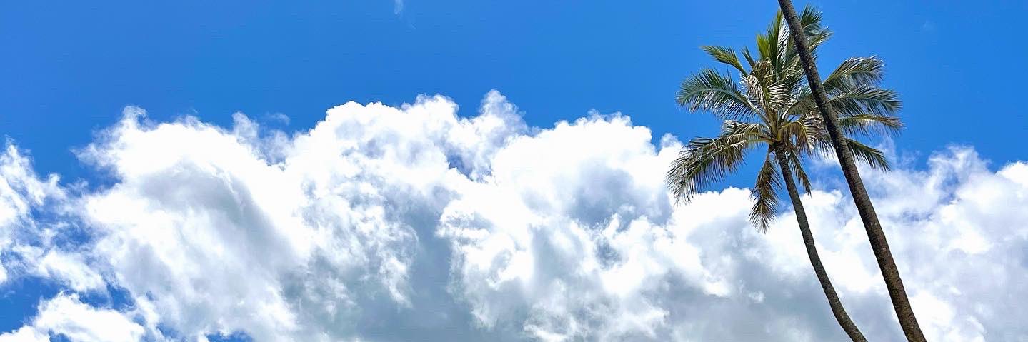 __melanieb's profile banner image