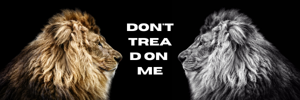 El León Amarillo banner