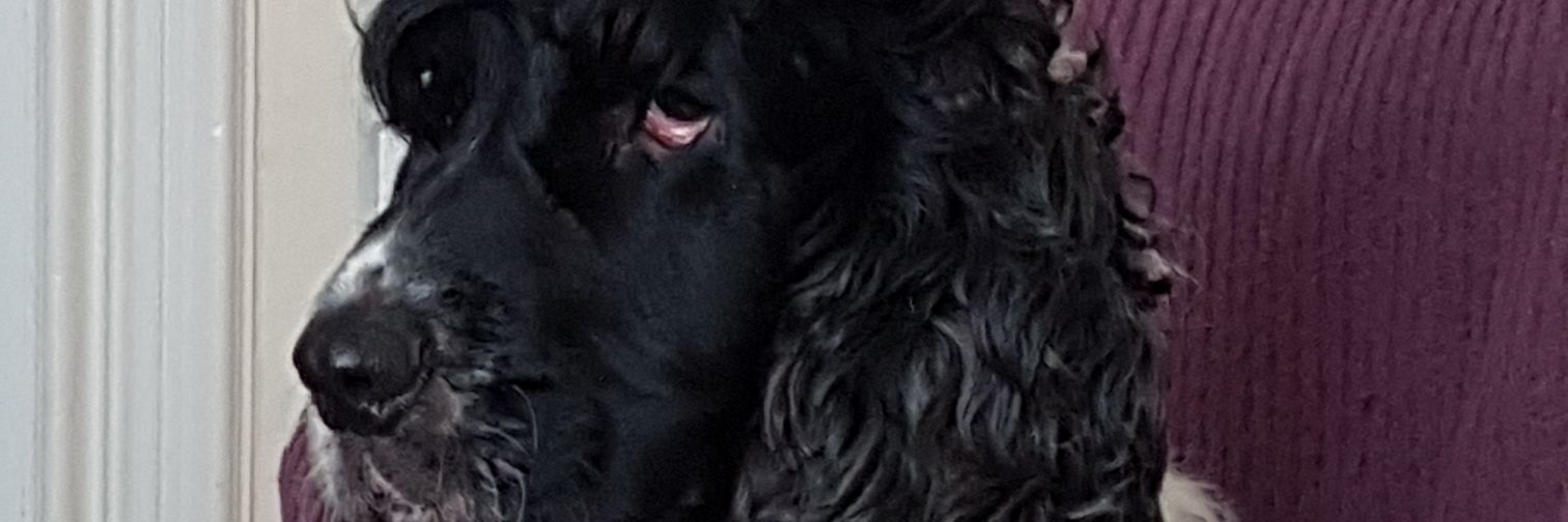 robbie1ball's profile banner image