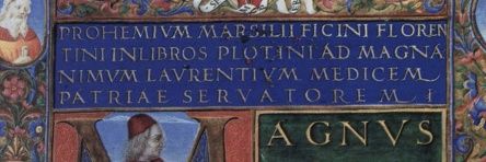 donplotino's profile banner image