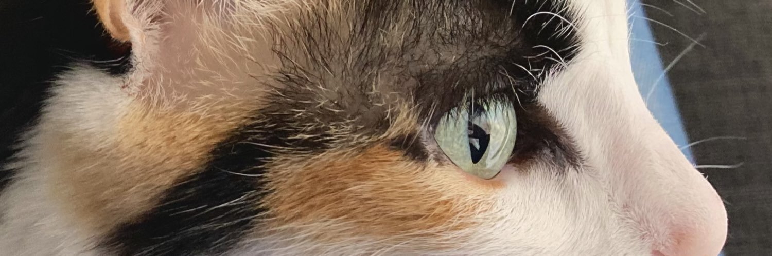 anttogg's profile banner image