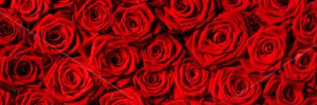 USCeve's profile banner image