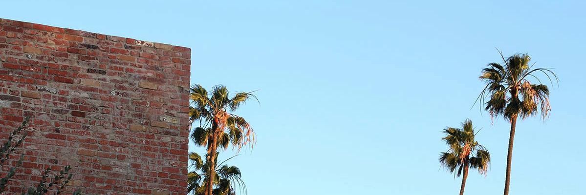 ZLTMedia banner