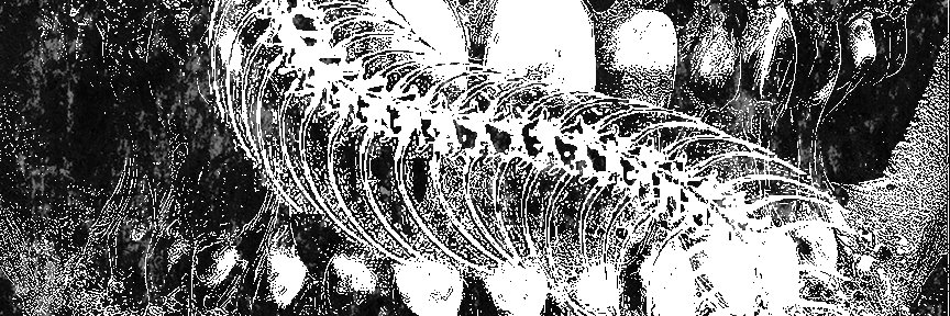 bite_wz's profile banner image