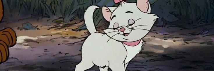 candelamazzoni's profile banner image