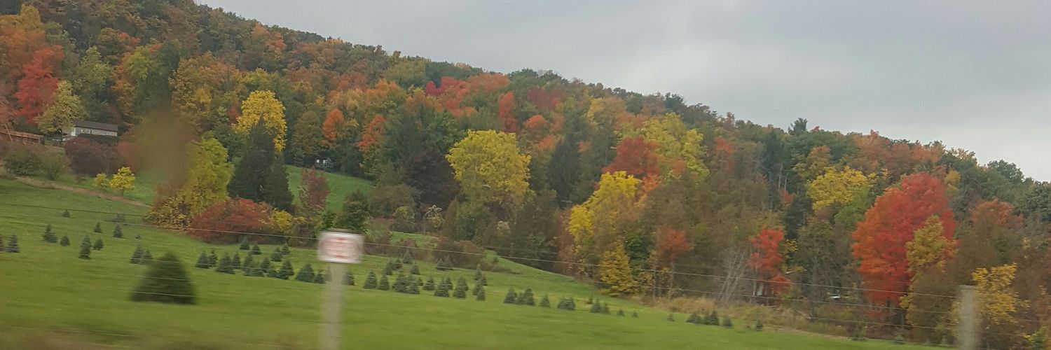 Gormint Aunty banner