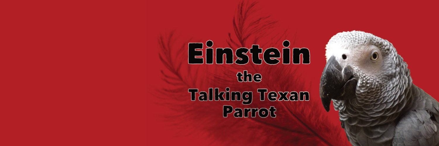 Einsteinparrot's profile banner image