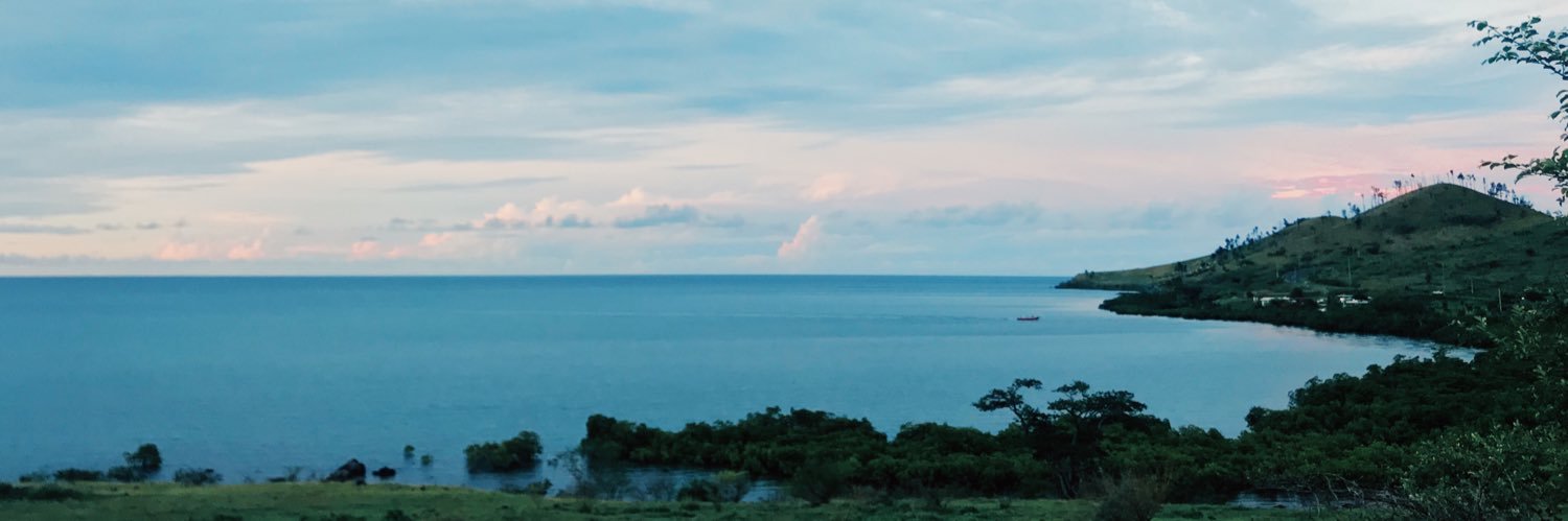 fjditoka's profile banner image