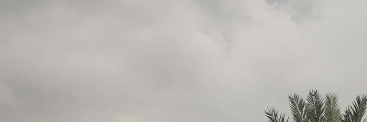 مي الشمري banner