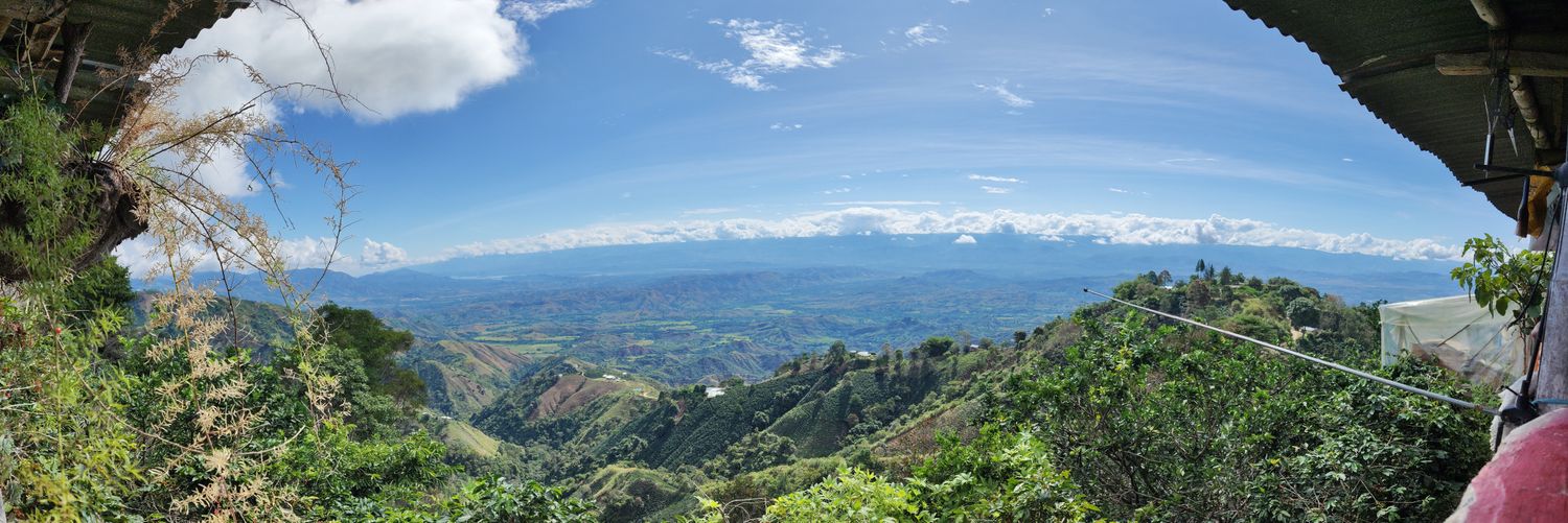 OscarDBFierro's profile banner image