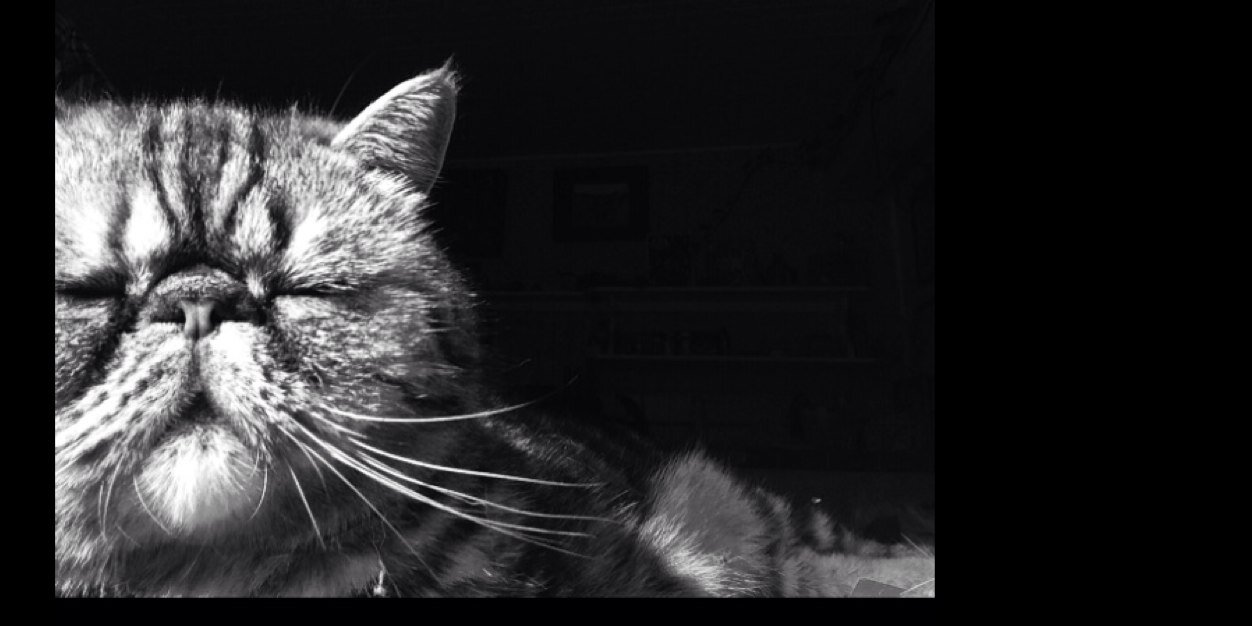 DocBogart's profile banner image