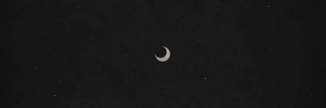 markoviiich's profile banner image