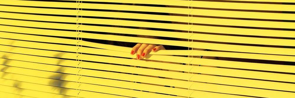 Beatriz Miranda banner