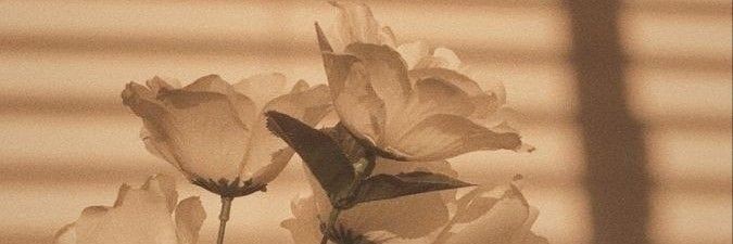 jamierocx's profile banner image