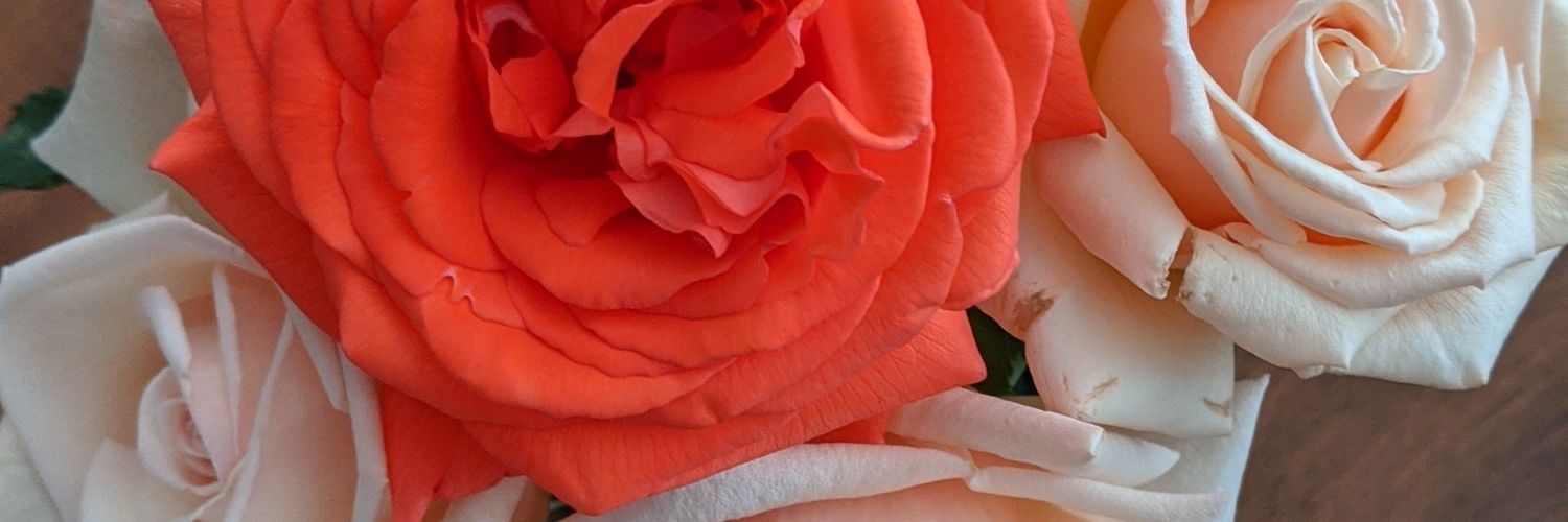 JMMMB7's profile banner image