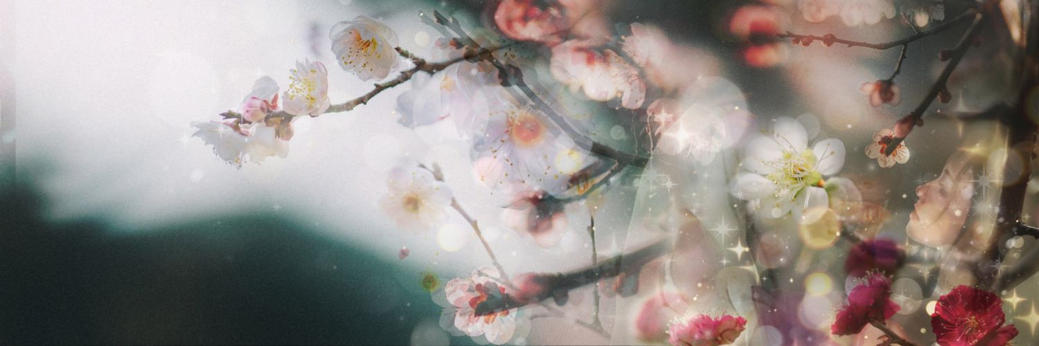 ShiftingPlum's profile banner image