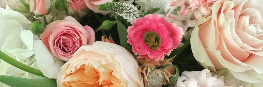 AmandaMorrisey's profile banner image